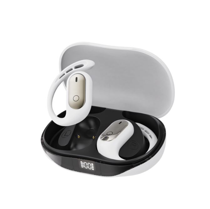 XG22 Earbuds